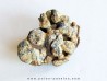 METEORITE pallasite SERICHO (1)