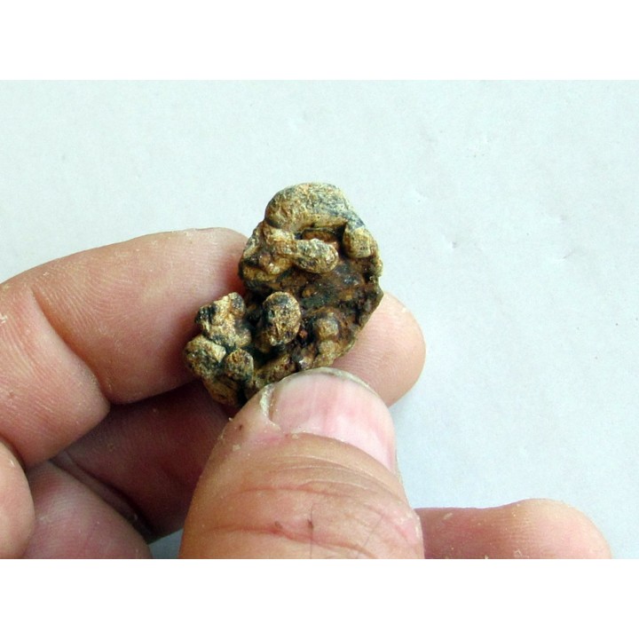 METEORITE pallasite SERICHO (1)