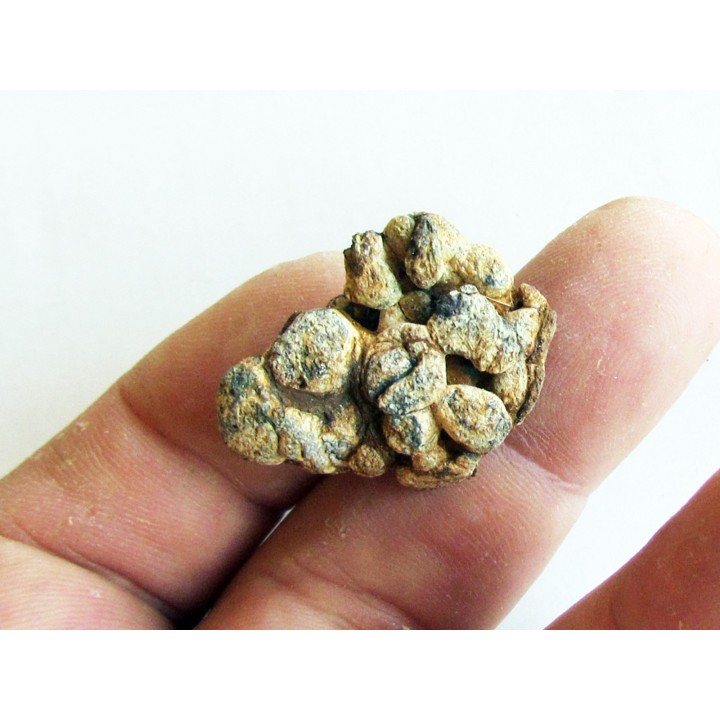 METEORITE pallasite SERICHO (1)