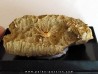 oursin Polydiadema superbum (5)