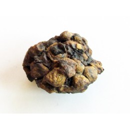 METEORITE pallasite SERICHO (7)