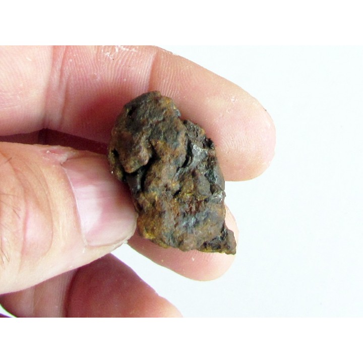 METEORITE pallasite SERICHO (7)