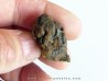 METEORITE pallasite SERICHO (7)