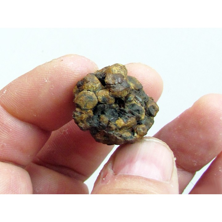 METEORITE pallasite SERICHO (7)
