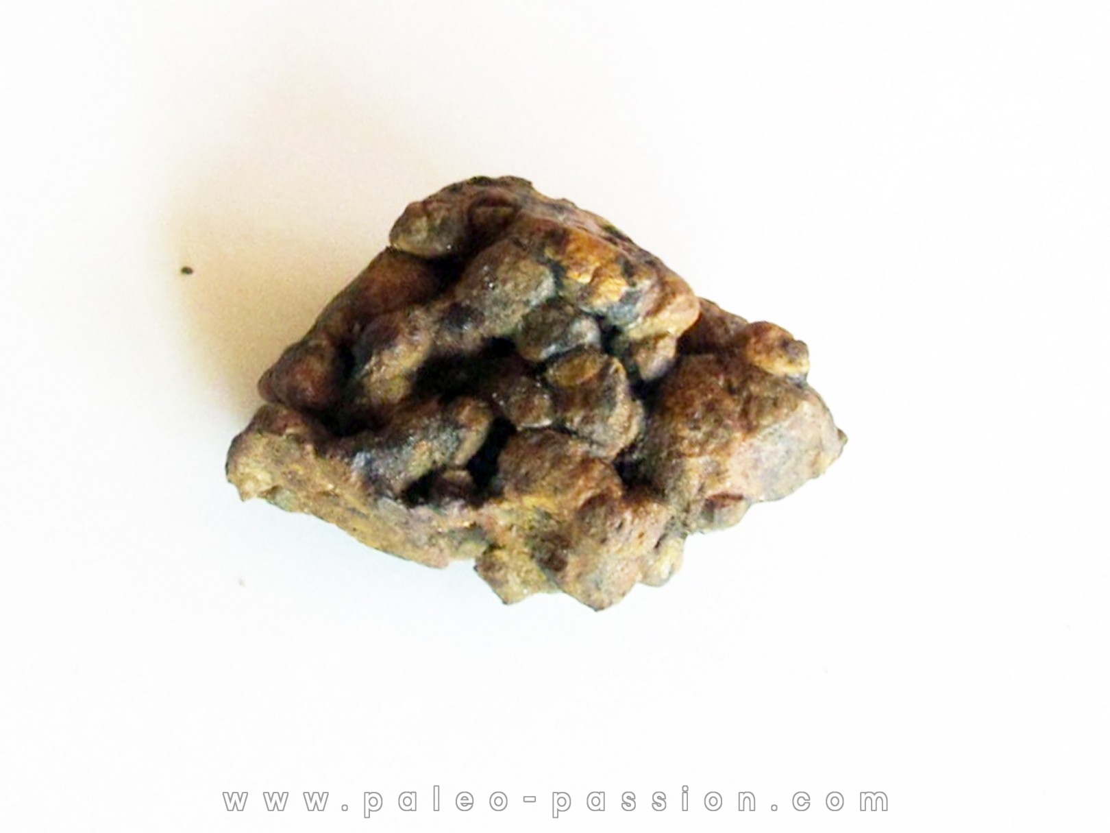 METEORITE pallasite SERICHO (12)