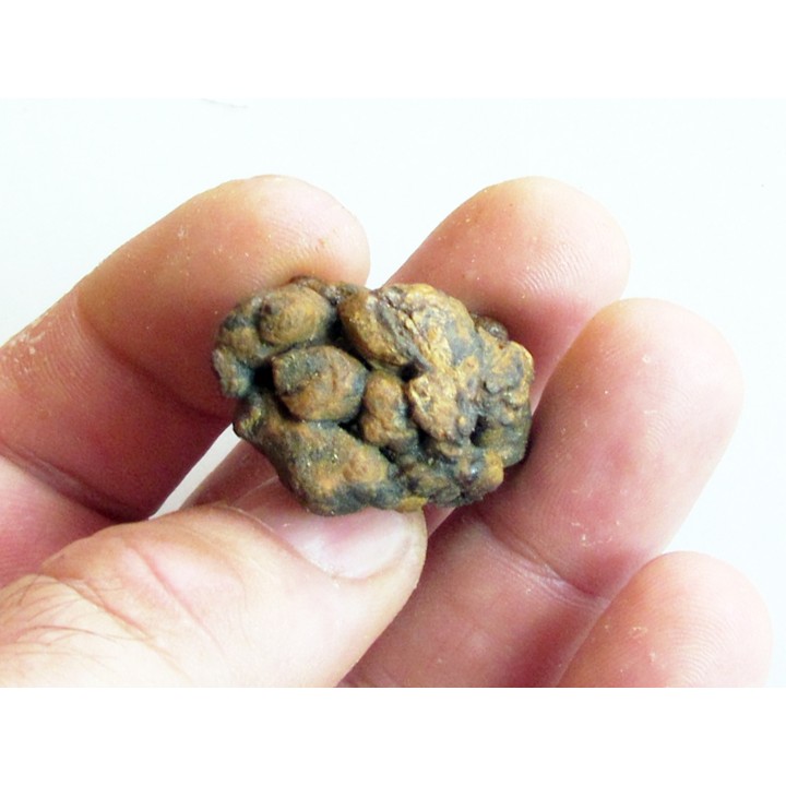 METEORITE pallasite SERICHO (12)