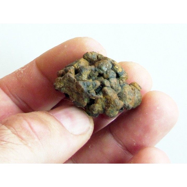 METEORITE pallasite SERICHO (12)