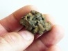 METEORITE pallasite SERICHO (12)