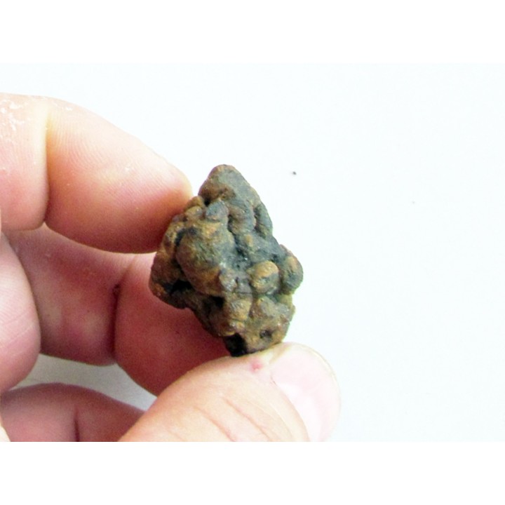 METEORITE pallasite SERICHO (12)