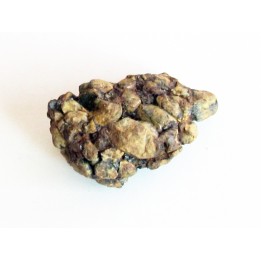 METEORITE pallasite SERICHO (13)