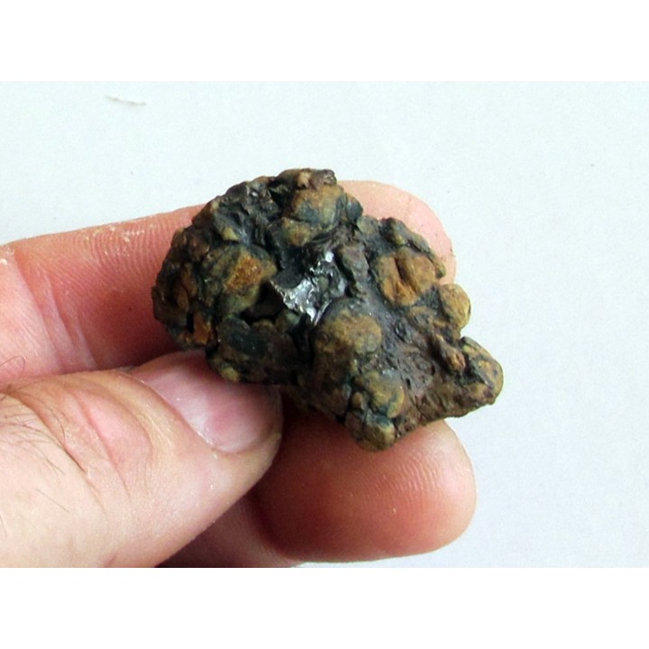 METEORITE pallasite SERICHO (13)