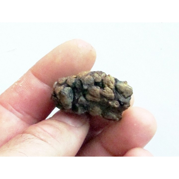 METEORITE pallasite SERICHO (13)