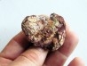 coprolith - cretaceous - kem-kem - MOROCCO (6)