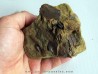 bone bed : os et dent de dinosaure  HADROSAURE (1)