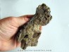 bone bed : os et dent de dinosaure HADROSAURE (6)