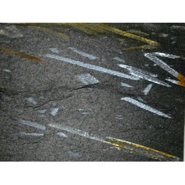 GRAPTOLITES  didymograptus (2)