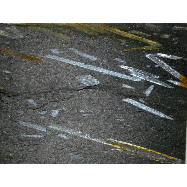 GRAPTOLITES  didymograptus (2)