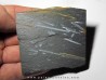 GRAPTOLITES didymograptus (2)
