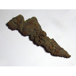 coprolithe - cenozoique - madagascar (2)