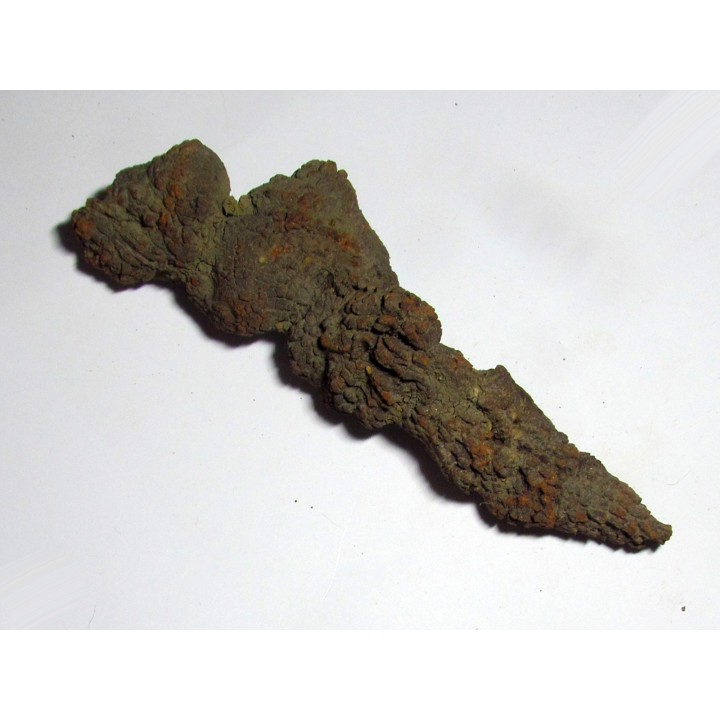 coprolithe - cenozoique - madagascar (2)