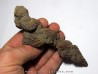 coprolithe - cenozoique - madagascar (2)