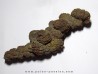 coprolithe - cenozoique - madagascar (3)