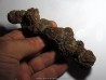 coprolithe - cenozoique - madagascar (8)