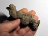 coprolithe - cenozoique - madagascar (9)