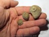 lot de 3 trepospira sp. (1)