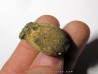 cycad seeds Nilissonia sp. (3)