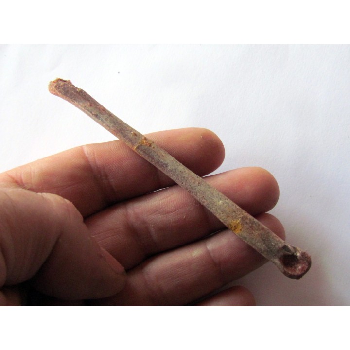 PTEROSAUR bone: Alanqa saharica (1)