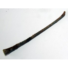 PTEROSAUR bone: Alanqa saharica (2)