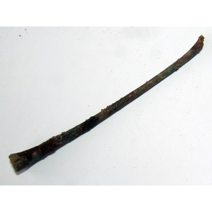 PTEROSAUR bone: Alanqa saharica (2)