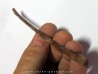PTEROSAUR bone: Alanqa saharica (2)