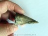 griffe de dinosaure hadrosaure : edmontosaure