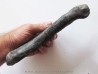os de dinosaure hadrosaure : metatarsal d'edmontosaure
