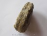 Mammites nodosoides (2)