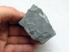 Cyclopyges aff. Sibilla  (1)