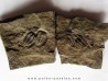parabathycheilus cf. gallicus (4)