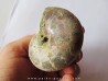 Goretophylloceras inflatum