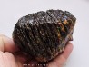 MAMMOTH TOOTH:  mammuthus primigenius (8)