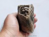 DENT DE MAMMOUTH: mammuthus primigenius (9)