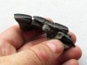 dinosaure teeth: HADROSAURE (3)