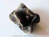 talus (ankle bone)  Bison priscus (1)