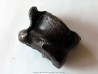 talus (ankle bone) Bison priscus (10)