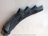 shark teeth: EDESTUS HEINRICHI (3)