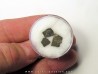 dinosaur maiasaura egg shell (5)
