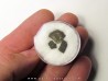 dinosaur maiasaura egg shell (7)