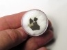 dinosaur maiasaura egg shell (9)