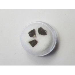 dinosaur maiasaura egg shell (11)